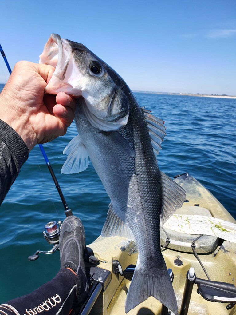 Location de kayak de pêche dans le Morbihan