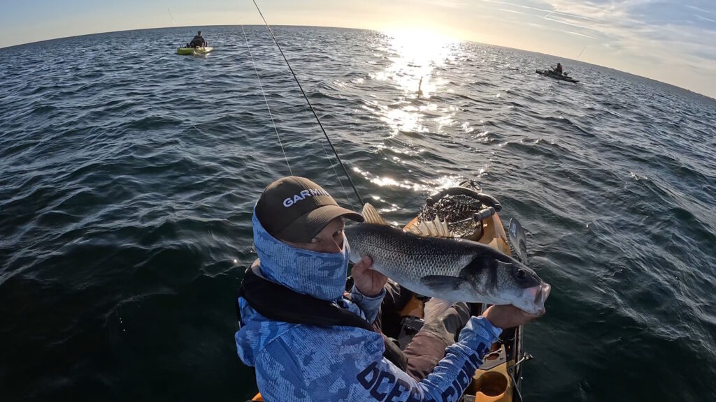 Session de pêche en mer avec prise de poisson